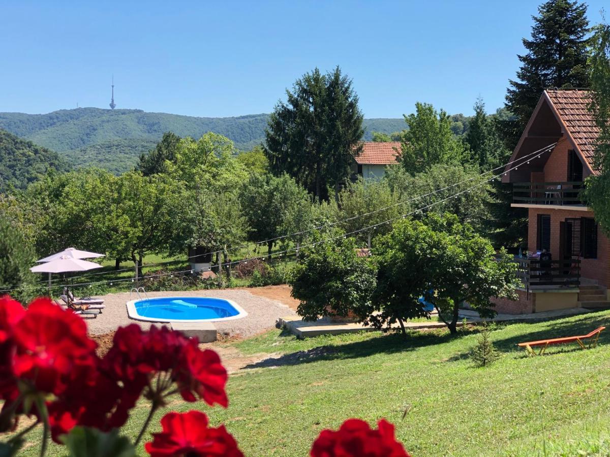 הוילה Sremska Kamenica Fruska Pool House מראה חיצוני תמונה