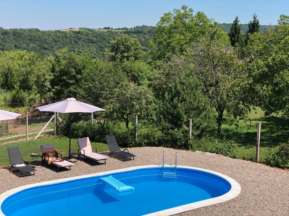 הוילה Sremska Kamenica Fruska Pool House מראה חיצוני תמונה