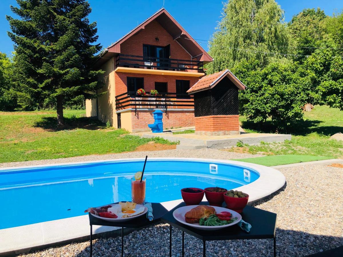 הוילה Sremska Kamenica Fruska Pool House מראה חיצוני תמונה