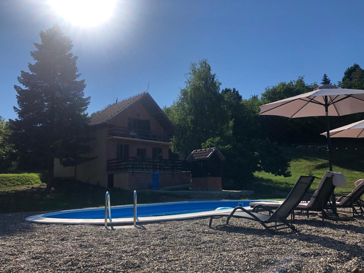 הוילה Sremska Kamenica Fruska Pool House מראה חיצוני תמונה