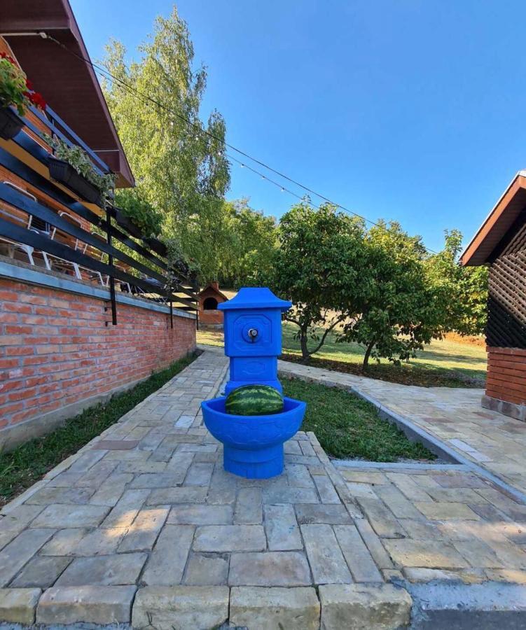 הוילה Sremska Kamenica Fruska Pool House מראה חיצוני תמונה