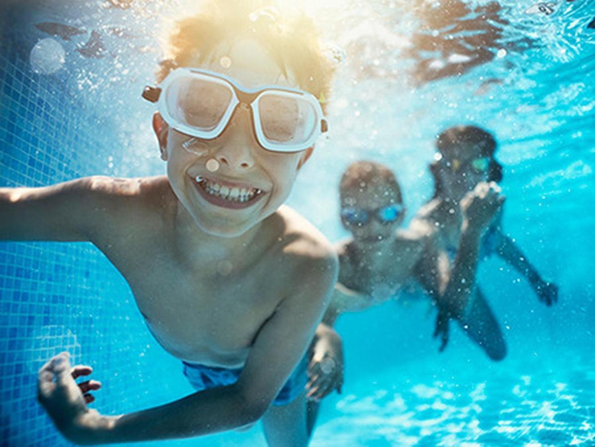 הוילה Sremska Kamenica Fruska Pool House מראה חיצוני תמונה
