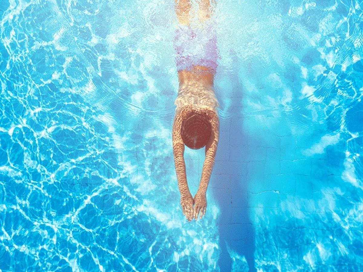 הוילה Sremska Kamenica Fruska Pool House מראה חיצוני תמונה