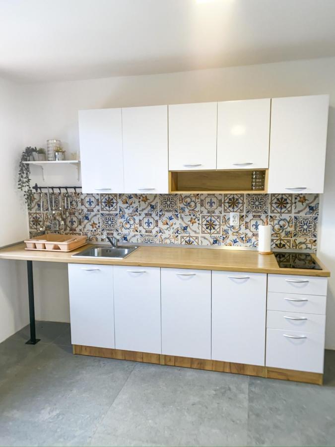 הוילה Sremska Kamenica Fruska Pool House מראה חיצוני תמונה