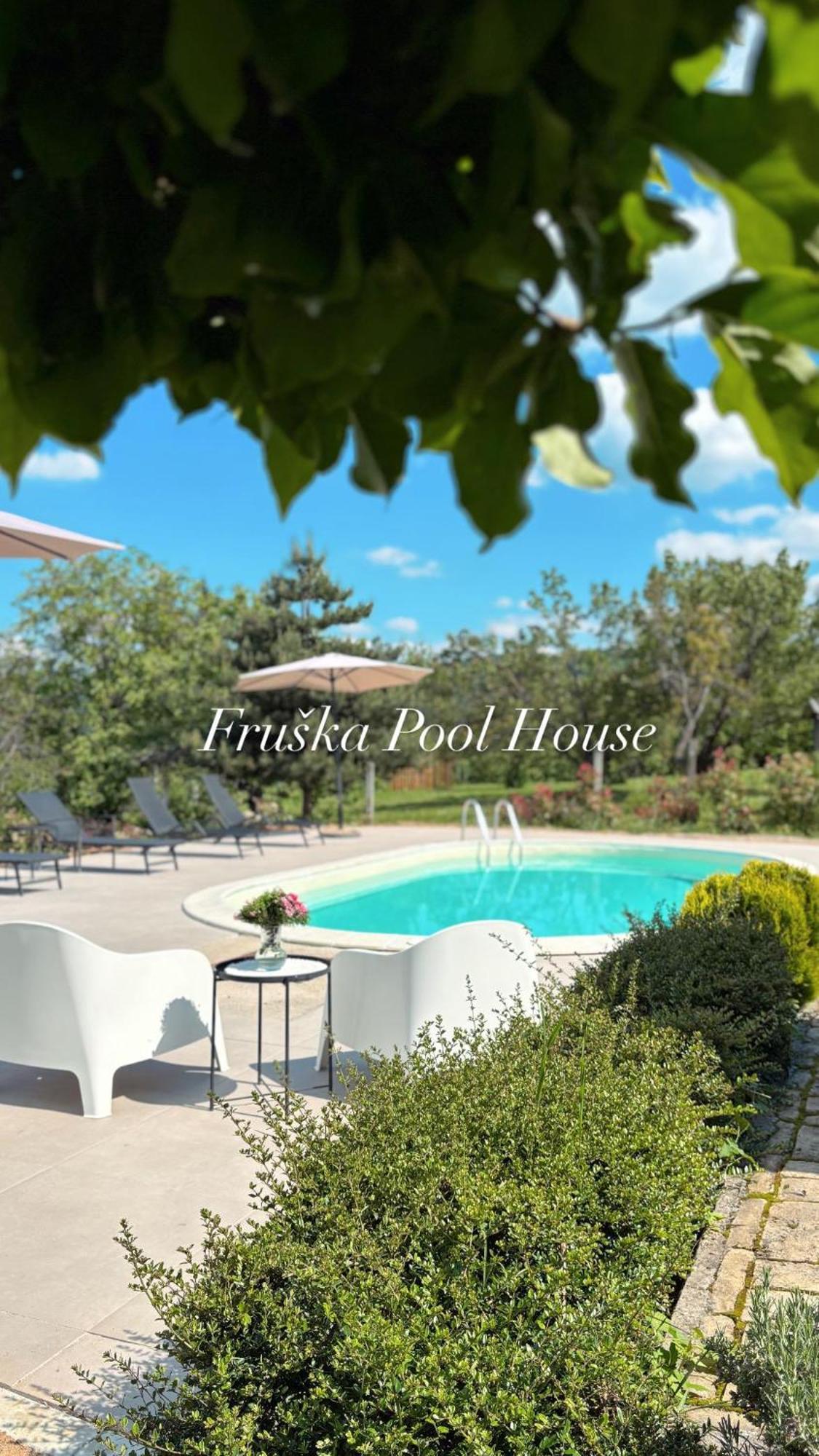 הוילה Sremska Kamenica Fruska Pool House מראה חיצוני תמונה