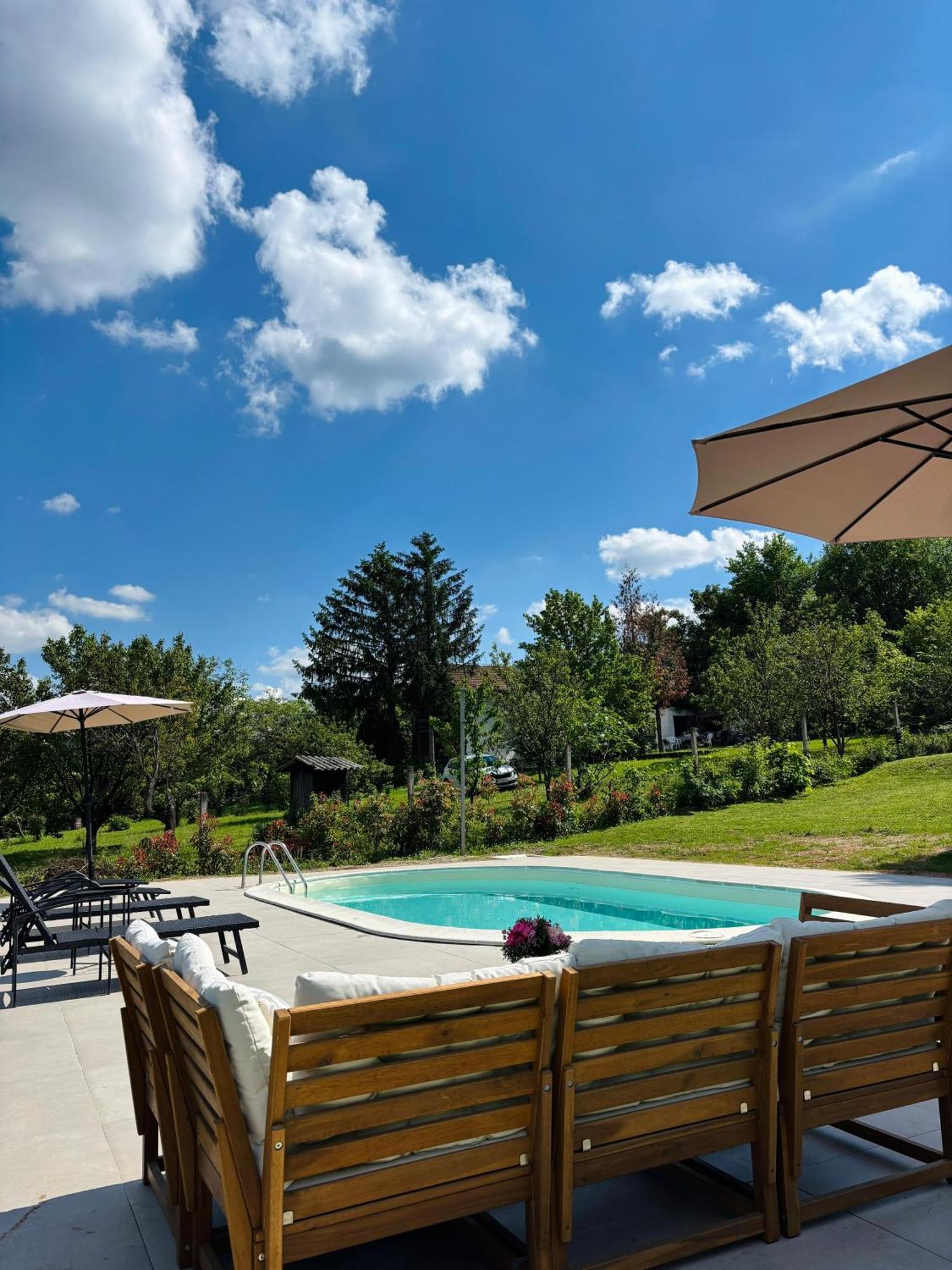 הוילה Sremska Kamenica Fruska Pool House מראה חיצוני תמונה