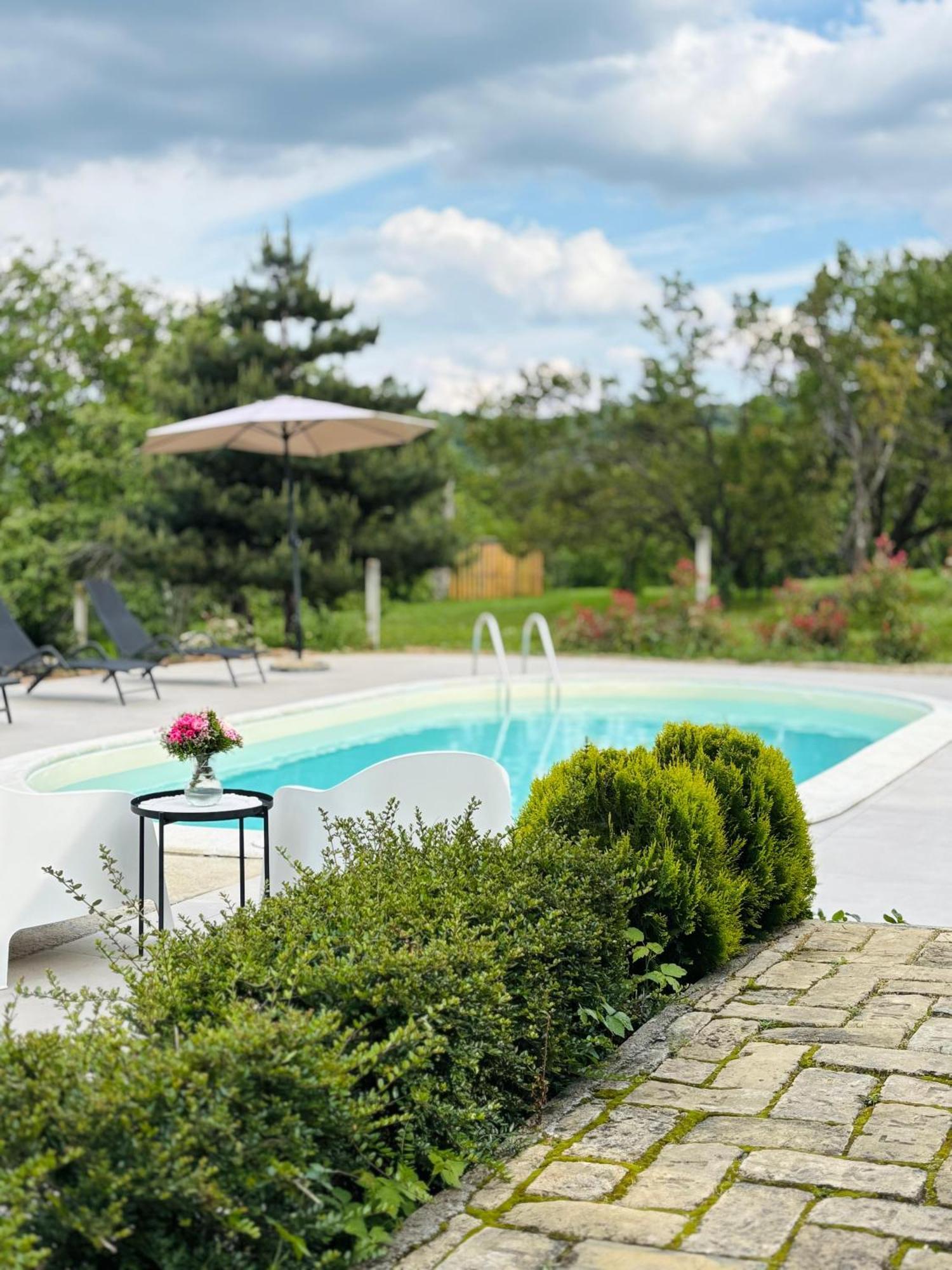 הוילה Sremska Kamenica Fruska Pool House מראה חיצוני תמונה